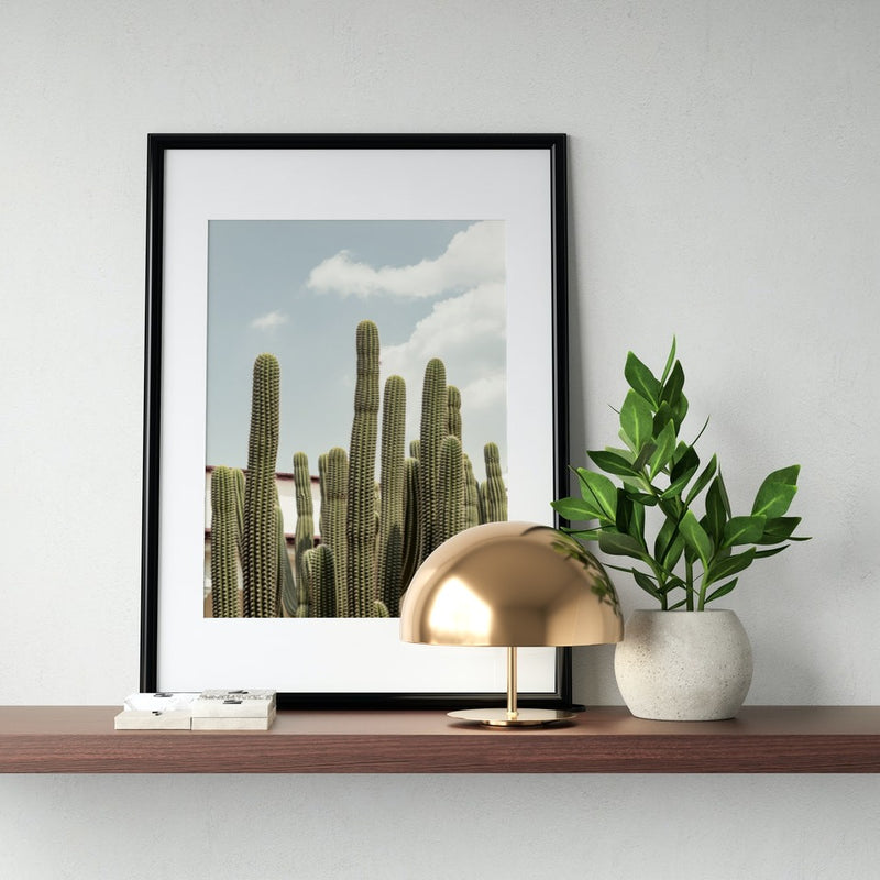 Affiche du ciel bleu de cactus
