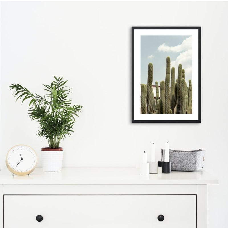 Affiche du ciel bleu de cactus
