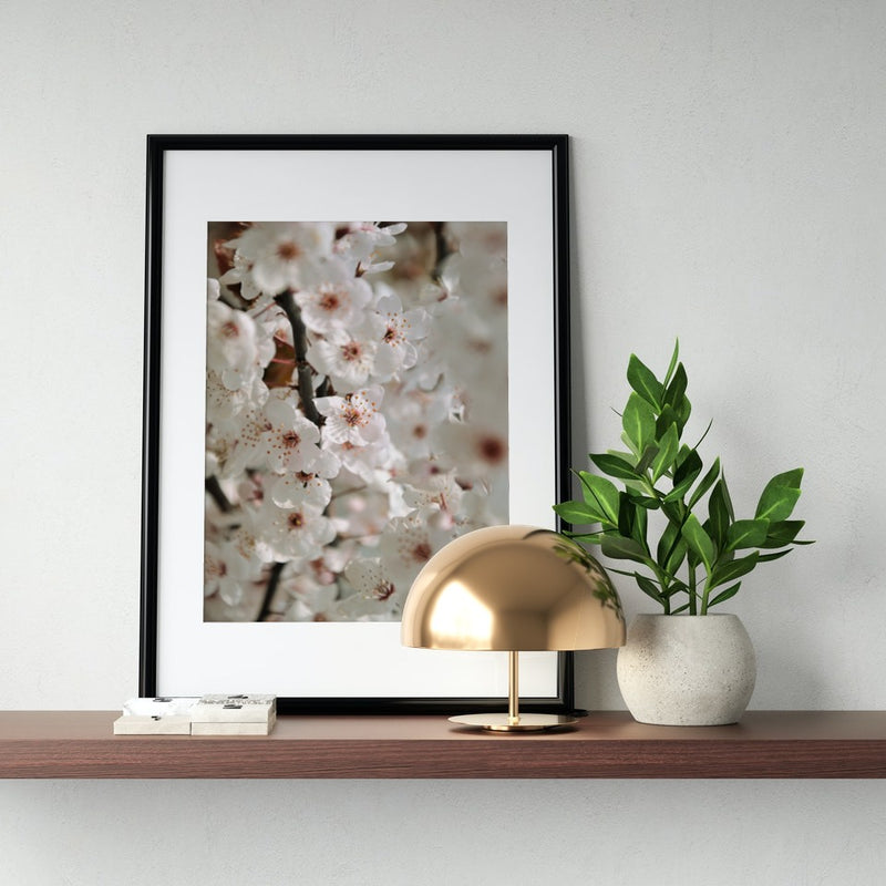 Kirschblüten 'Blooming' Poster