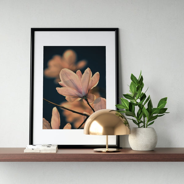 Magnolia 'bloeiende' poster