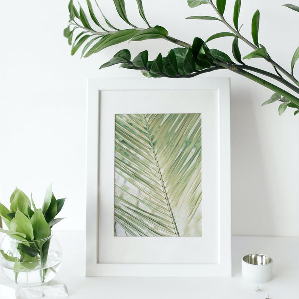 Poster di Palm Leaf 'Jade'