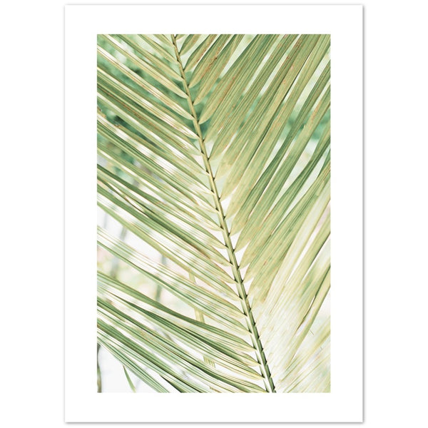 Palm Leaf 'Jade' Poster